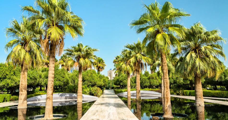 Sunset Strolls at Al Shaheed Park
