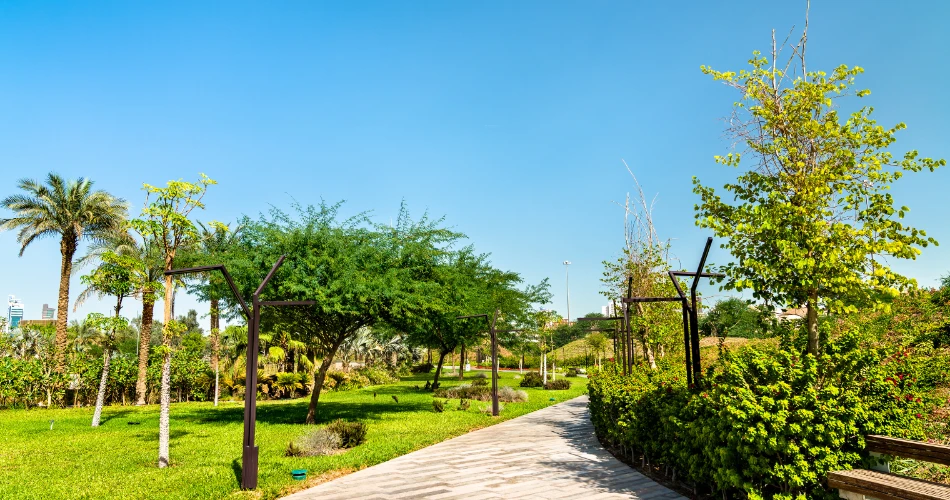 A Morning at Kuwait Towers